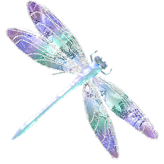 Libellule